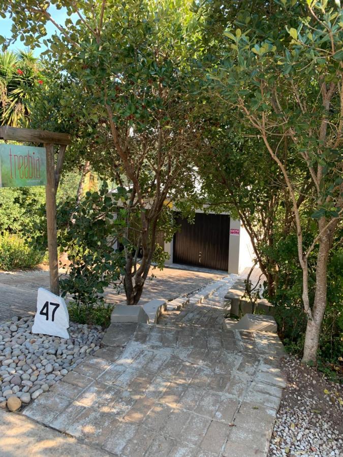 Ferienwohnung Treebia Self-Catering - Loadshedding Free Plettenberg Bay Exterior foto